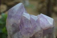 Natural Jacaranda Amethyst Cluster x 1 From Mumbwa, Zambia - TopRock