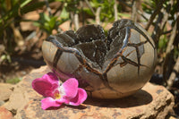 Polished Septerye Sauvage "Dragons Egg" x 1 From Mahajanga, Madagascar - TopRock