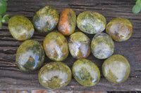 Polished Green Opal Palm Stones  x 12 From Madagascar - Toprock Gemstones and Minerals 