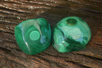 Polished Flower Banded Malachite Free Forms  x 12 From Congo - Toprock Gemstones and Minerals 