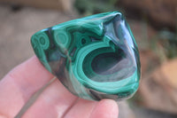 Polished Flower Banded Malachite Free Forms  x 6 From Congo - Toprock Gemstones and Minerals 