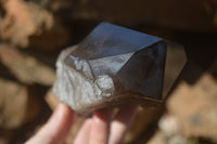 Natural Large Smokey Quartz Crystal x 1 From Malawi