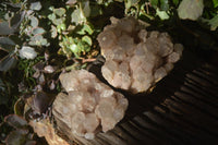 Natural Cascading Smokey Phantom Quartz Clusters x 2 From Luena, Congo