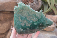 Polished  Large Emerald Mtorolite Plates  x 2 From Zimbabwe