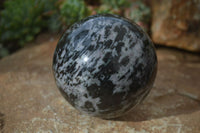 Polished Gabbro Merlinite Spheres  x 2 From Ambatondrazaka, Madagascar