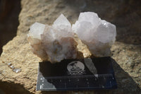 Natural White Cactus Flower Spirit Quartz Specimens x 12 From Boekenhouthoek, South Africa