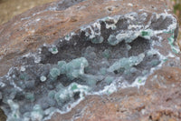 Natural Drusy Coated Ball Malachite On Dolomite Specimen  x 1 From Likasi, Congo