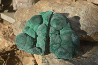 Natural Botryoidal Malachite Specimens  x 2 From Kolwezi, Congo