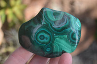 Polished Flower Banded Malachite Free Forms  x 6 From Congo - Toprock Gemstones and Minerals 