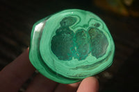 Polished Flower Banded Malachite Free Forms  x 12 From Congo - Toprock Gemstones and Minerals 