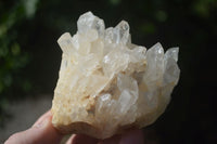 Natural Clear Quartz Clusters  x 6 From Madagascar - Toprock Gemstones and Minerals 