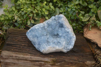 Natural Blue Celestite Geode Specimen  x 1 From Sakoany, Madagascar