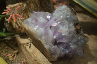 Natural Jacaranda Amethyst Cluster x 1 From Mumbwa, Zambia - TopRock