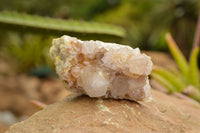 Natural Drusi Coated Spirit Cactus Quartz Clusters  x 4 From Boekenhouthoek, South Africa - TopRock