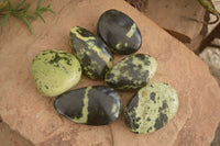 Polished Leopard Stone Free Forms  x 6 From Zimbabwe