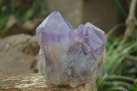 Natural Jacaranda Amethyst Cluster x 1 From Mumbwa, Zambia - TopRock