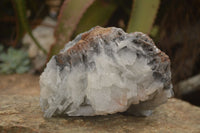 Natural Extra Large Bladed Barite Specimen  x 1 From Congo