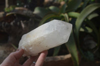 Polished Large Quartz Crystals x 3 From Madagascar