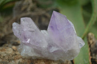 Natural Jacaranda Amethyst Clusters  x 3 From Mumbwa, Zambia - Toprock Gemstones and Minerals 