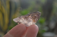 Natural Window Amethyst Crystals  x 35 From Chiredzi, Zimbabwe