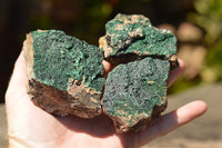 Natural Crystalline Micro Botryoidal Malachite Specimens  x 6 From Tenke Fungurume, Congo - TopRock