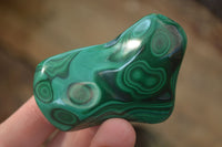 Polished Flower Banded Malachite Free Forms  x 12 From Congo - Toprock Gemstones and Minerals 