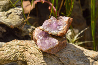 Natural Small Amethyst & Basalt Geode Specimens  x 35 From Zululand, South Africa - TopRock