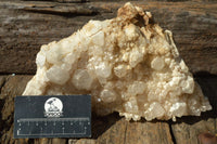 Natural Fairly Large Quartz Cluster Display Piece x 1 From Madagascar - TopRock