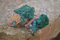 Natural Classic Emerald Dioptase Crystal Specimens  x 2 From Likasi, Congo