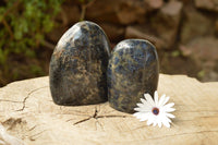 Polished Pair Of Rare Iolite / Water Sapphire Standing Free Forms  x 2 From Madagascar - TopRock