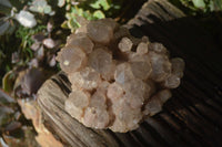 Natural Cascading Smokey Phantom Quartz Clusters x 2 From Luena, Congo