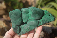 Natural Botryoidal Malachite Specimens  x 2 From Kolwezi, Congo