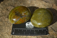 Polished Green Opal Palm Stones  x 12 From Madagascar - Toprock Gemstones and Minerals 