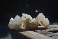 Natural "Cathedral Window" Cascading Candle Quartz Crystals x 12 From Madagascar - Toprock Gemstones and Minerals 