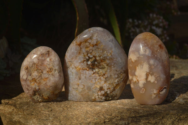 Polished  Ocean Flower Agate Standing Free Forms  x 3 From Madagascar