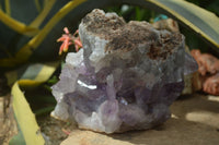 Natural Jacaranda Amethyst Cluster x 1 From Mumbwa, Zambia - TopRock