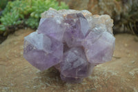 Natural Jacaranda Amethyst Cluster x 1 From Mumbwa, Zambia - TopRock