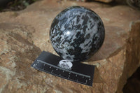 Polished Gabbro Merlinite Spheres  x 2 From Ambatondrazaka, Madagascar