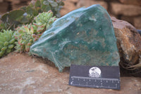 Polished  Large Emerald Mtorolite Plates  x 2 From Zimbabwe