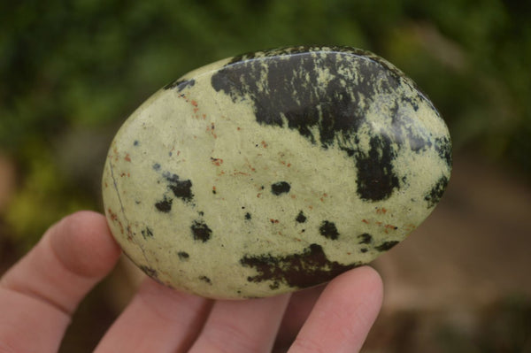 Polished Leopard Stone Free Forms  x 6 From Zimbabwe