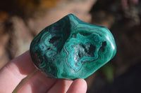 Polished Flower Banded Malachite Free Forms  x 6 From Congo - Toprock Gemstones and Minerals 