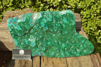 Polished XL Malachite Free Form With Blue Chrysocolla Rings x 1 From Congo - TopRock