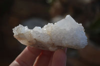 Natural White Cactus Flower Spirit Quartz Specimens x 12 From Boekenhouthoek, South Africa