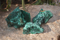 Natural Chatoyant Silky Malachite Specimens  x 3 From Kasompe, Congo