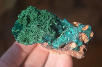 Natural Classic Emerald Dioptase Crystal Specimens  x 2 From Likasi, Congo