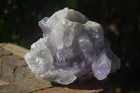 Natural Jacaranda Amethyst Clusters  x 2 From Zambia - Toprock Gemstones and Minerals 