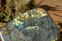 Polished Labradorite Standing Free Forms With Blue & Gold Flash  x 2 From Tulear, Madagascar - TopRock