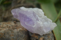 Natural Jacaranda Amethyst Clusters  x 3 From Mumbwa, Zambia - Toprock Gemstones and Minerals 