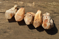 Natural Single Pineapple Quartz Crystals  x 35 From Madagascar - TopRock