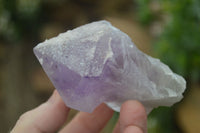 Natural Jacaranda Amethyst Clusters  x 12 From Zambia - Toprock Gemstones and Minerals 